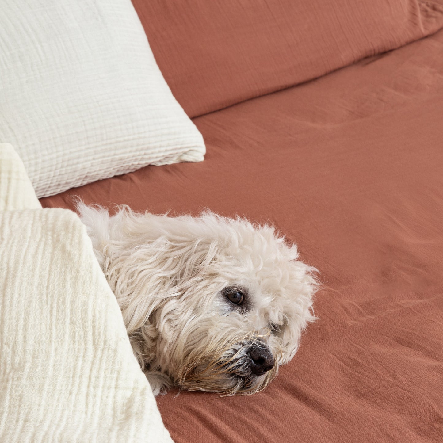 Muslin Bedding
