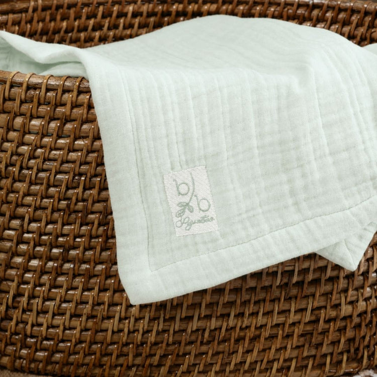 Muslin Hand Towels (set of2)